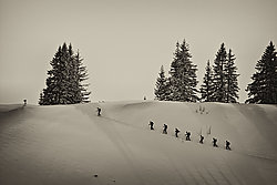 Go ahead - Bernhard Saalfeld